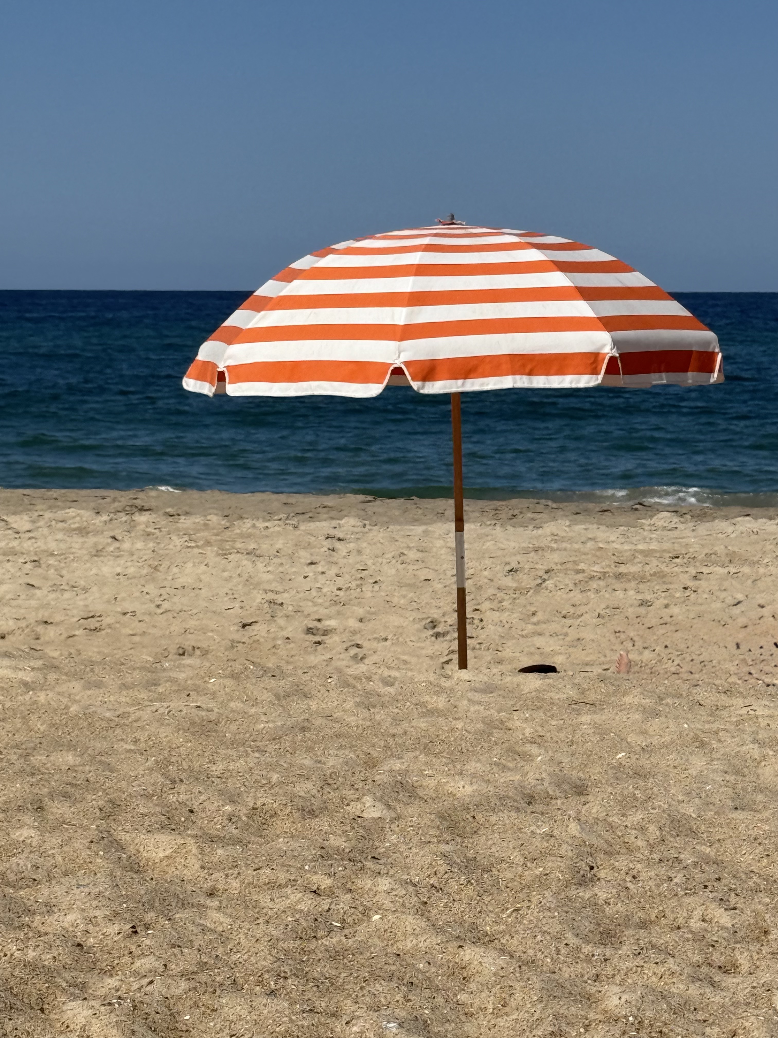 Beach umbrella