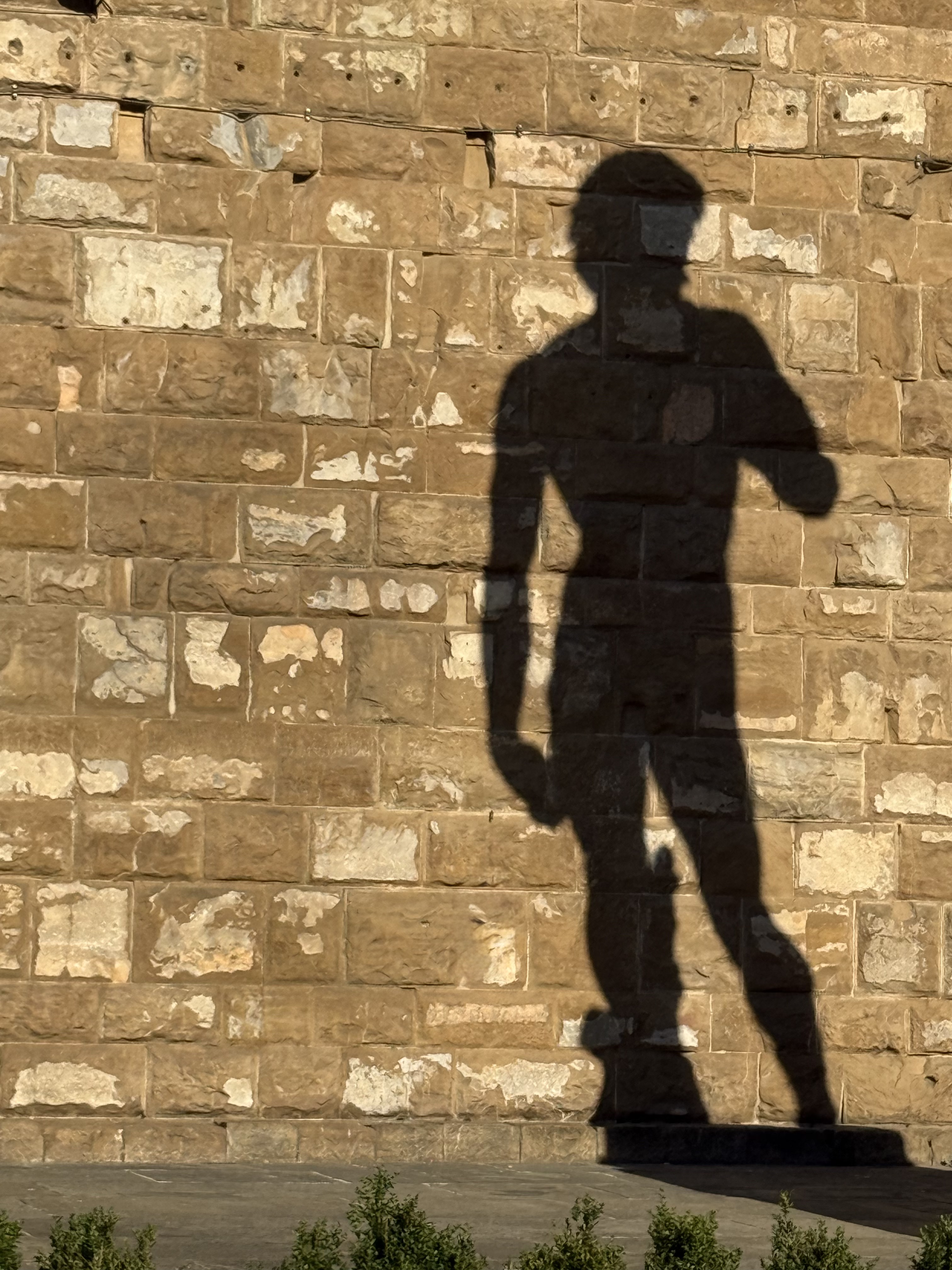 The David shadow